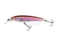 Wobler Yo-zuri 3DR Minnow 100SP | 10cm 17g - Real Smelt (R1309-RSM)