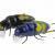 Microbait Woblery Chafer