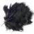 Hareline Dubbin Pióra Wooly Bugger Marabou