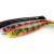 FOX Rage Przynęty Pro Shad Natural Classic Ultra UV Bulk