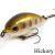 Zipbaits Woblery Hickory SR