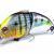 Megabass Vibration-X Vatalion